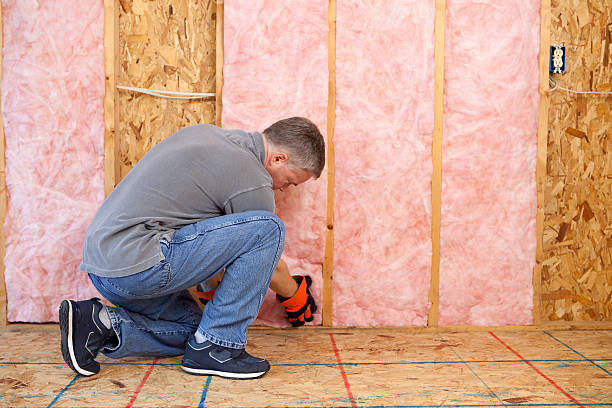 Best Commercial Insulation in Shorewood, IL